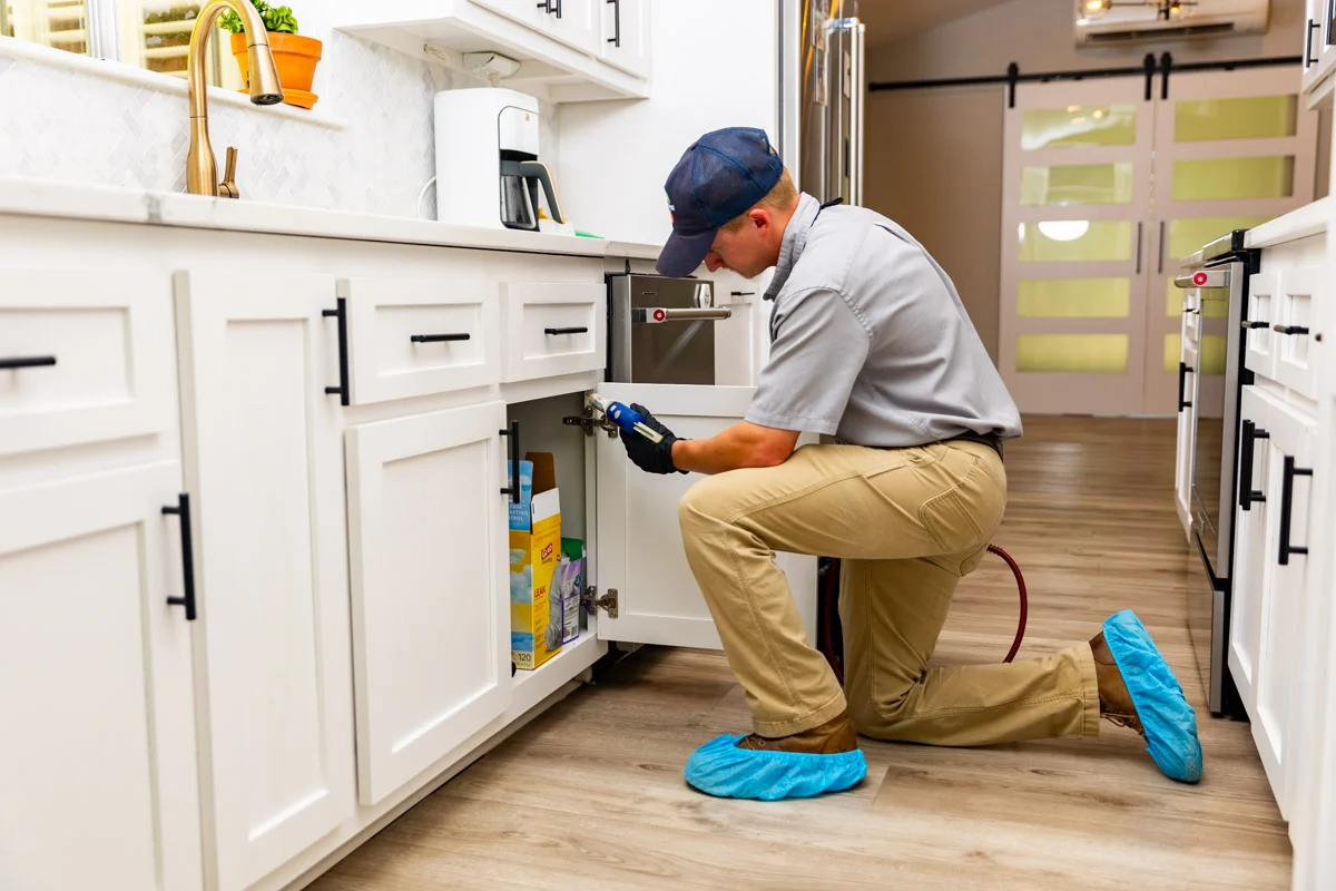 Pest Inspections